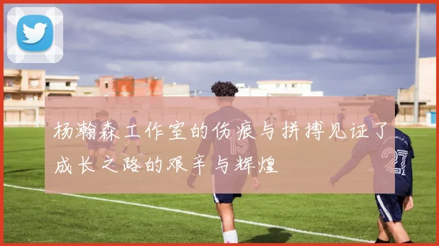杨瀚森工作室的伤痕与拼搏见证了成长之路的艰辛与辉煌